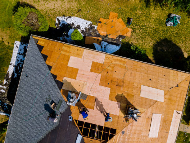 Best Storm Damage Roof Repair  in Hemlock, MI