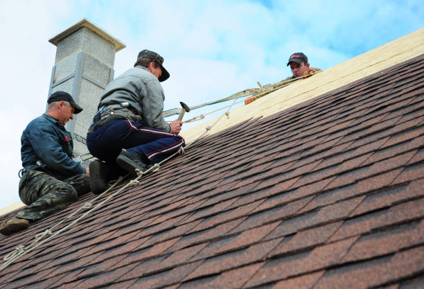 Best Flat Roof Repair Services  in Hemlock, MI