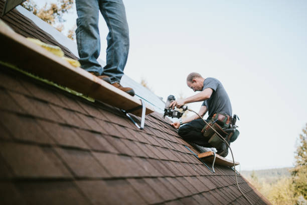 Best Roof Waterproofing Services  in Hemlock, MI